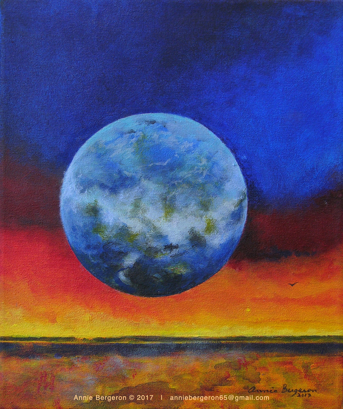 Les horizons cosmiques