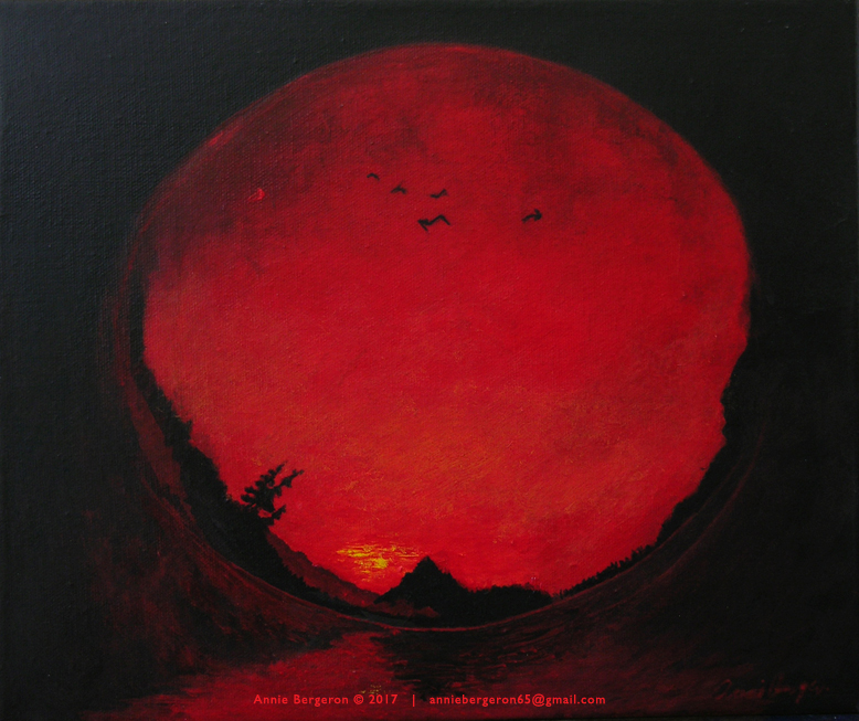 Les horizons cosmiques